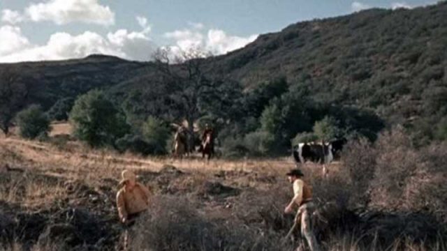 Blood on the Land