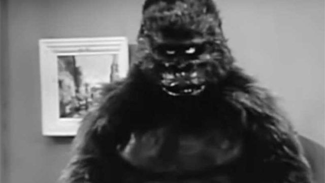The Gorilla