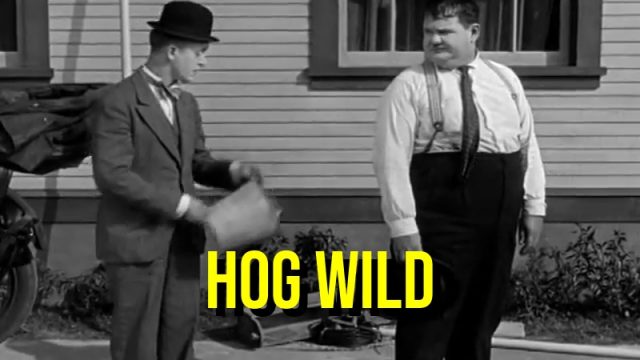Hog Wild