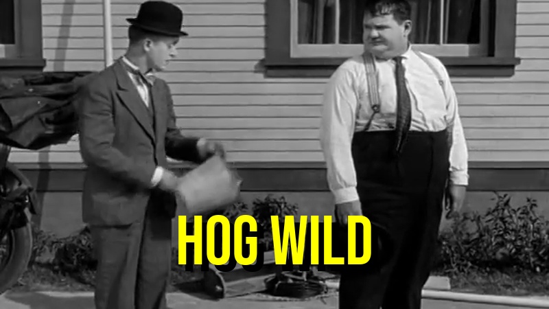 Hog Wild