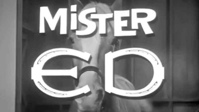 Mr. Ed