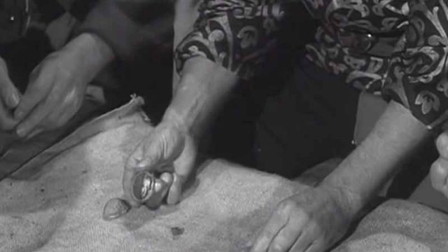 The Shell Game