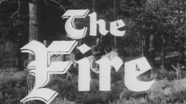 The Fire