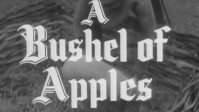 A Bushel of Apples