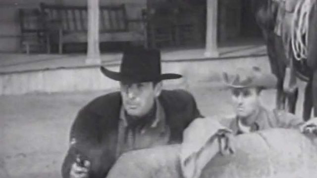 The Dalton Gang