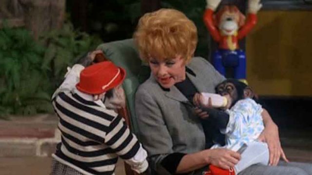 Lucy The Babysitter