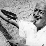 William Castle