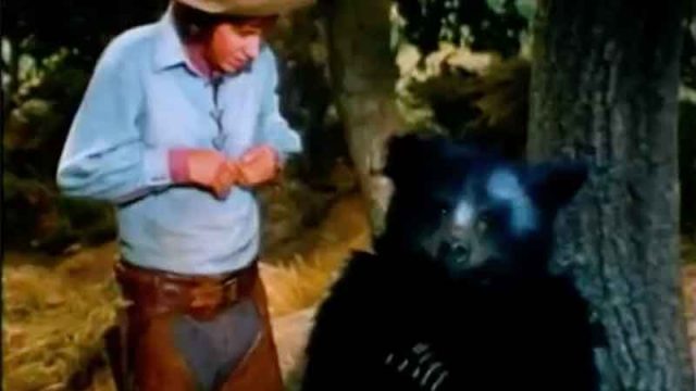 Androcles and the Bear