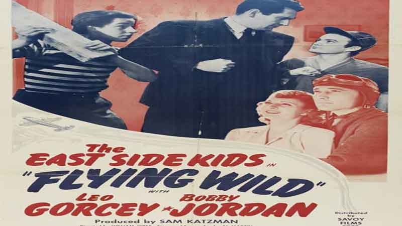 Flying Wild